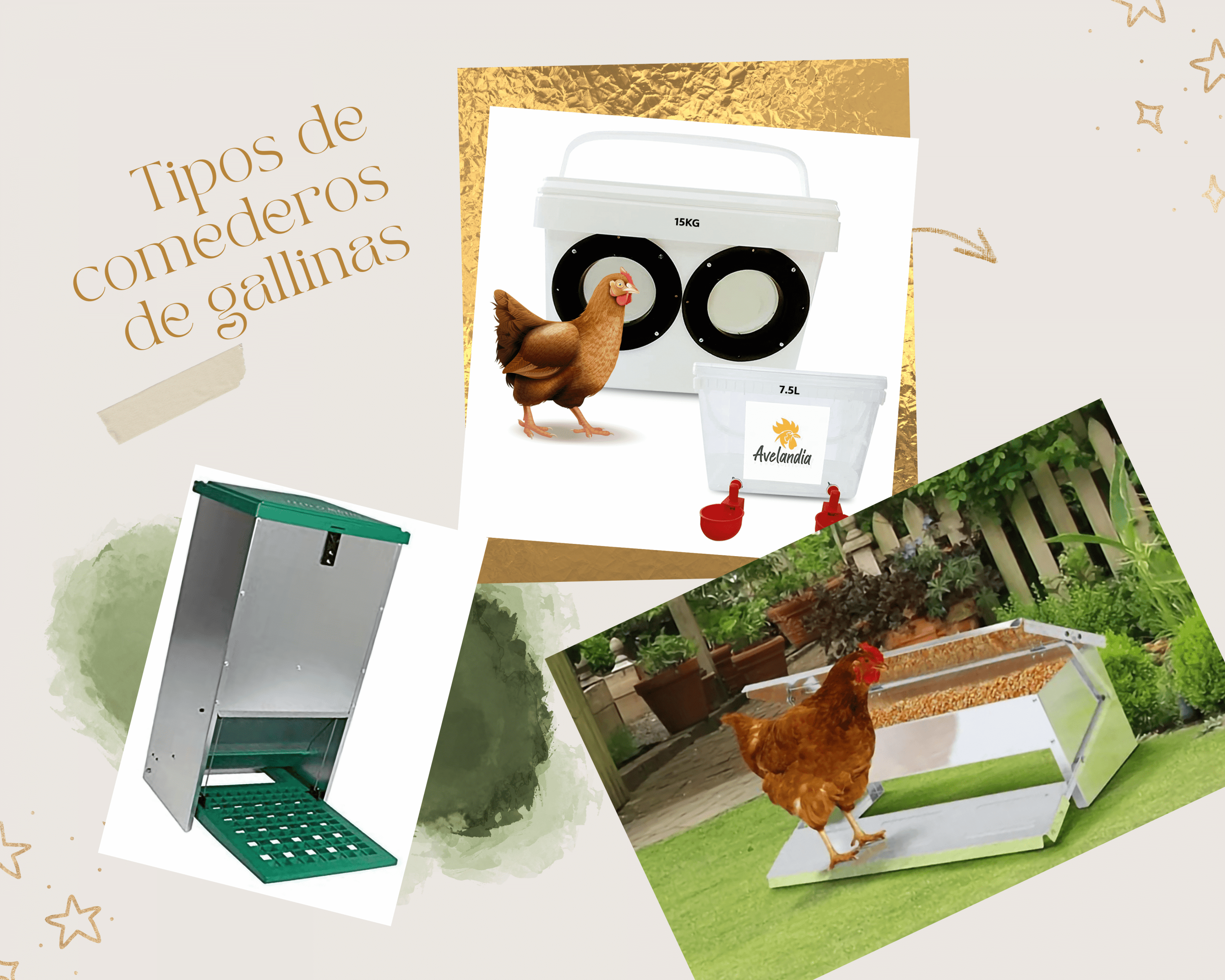 Todos los tipos de comederos para gallinas, gallos aves